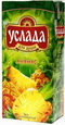 4607048530511 — Нектар "Услада" ананасовый, 1 л