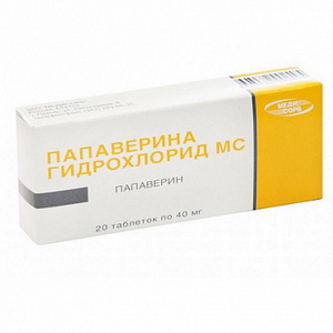 4600828001256 — Папаверина гидрохлорид, таблетки 40мг 20шт