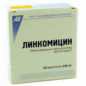 4810133003405 — Линкомицина гидрохлорид, капсулы 250мг 20шт