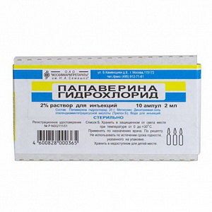 4810201000039 — Папаверина гидрохлорид, раствор 2% 2мл 10шт