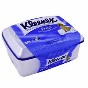 5029053019093 — Туал. пап_р кл_некс вологий туб