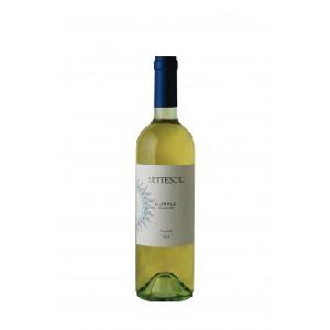 8000254005433 — Вино Settesoli Corale Fiano белое сухое 0.75 л 12%